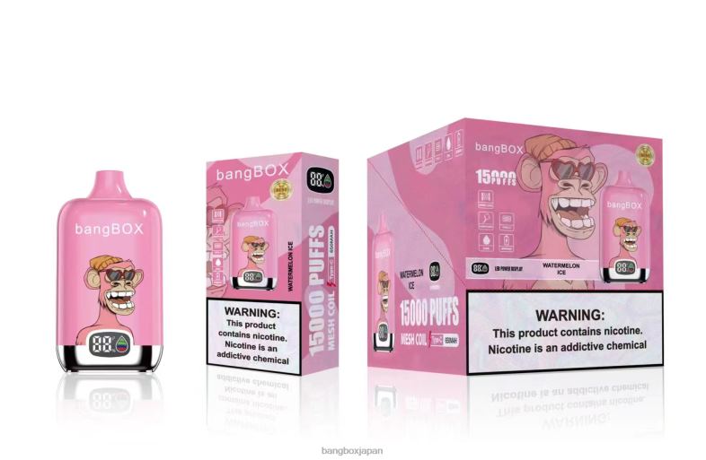 Bang Box 15000パフ スイカ氷 2N2TD45 - Bang Box Vape Price