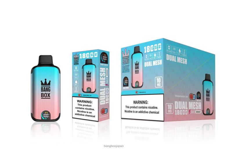 Bang Box 18000パフ スイカ氷 2N2TD96 - Bang Box Japan